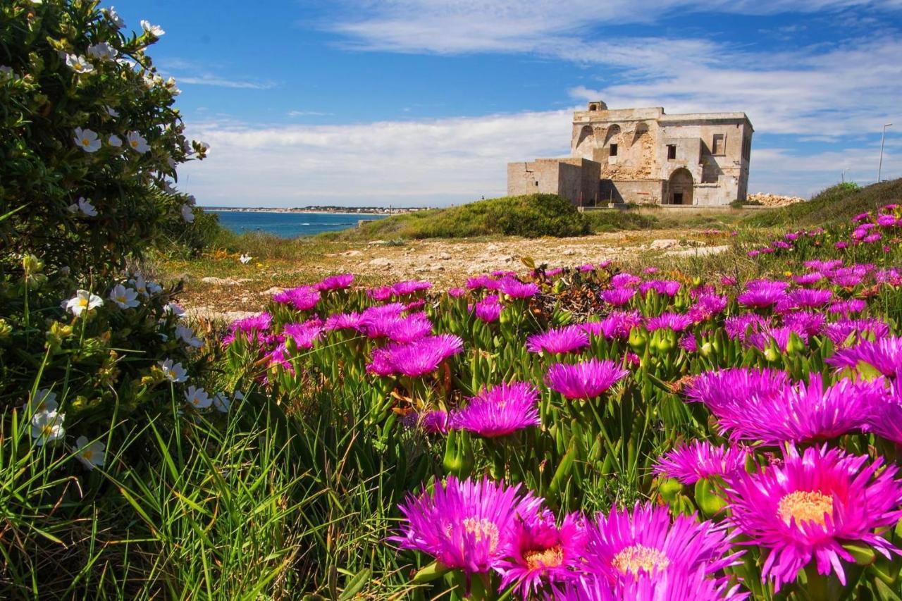 B&B Cristina Torricella  Εξωτερικό φωτογραφία